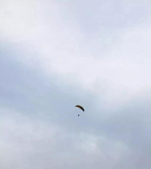 &#20048;&#40060;